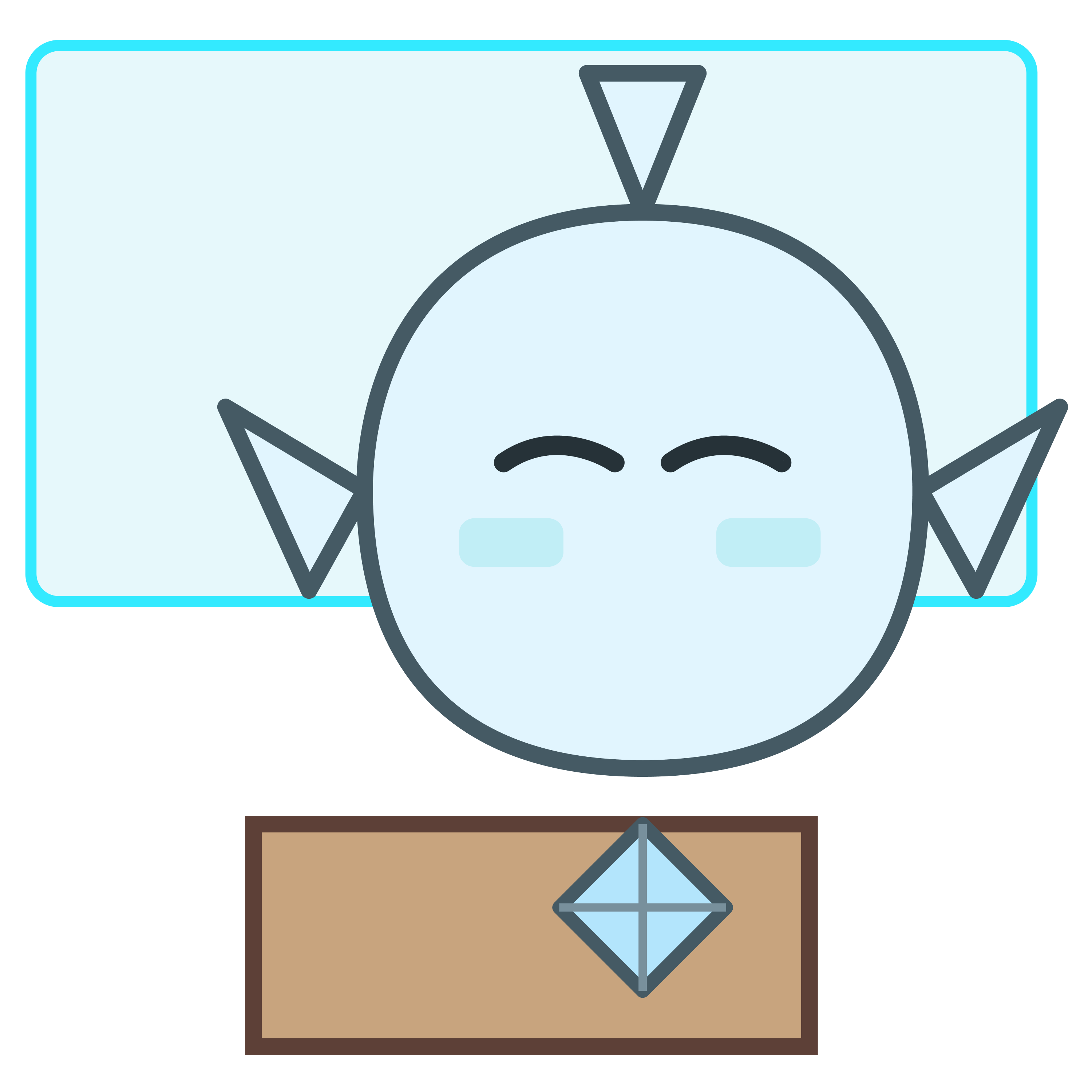 講義するコレクト